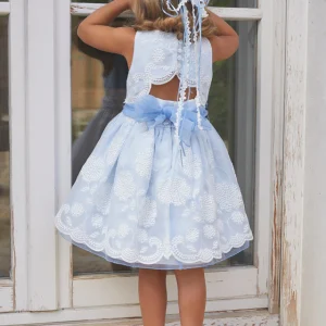 Vestido Organza Bordado Niña