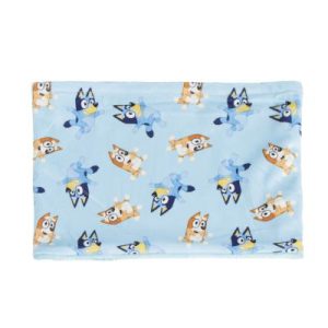 2200010064-Braga Cuello “Bluey”